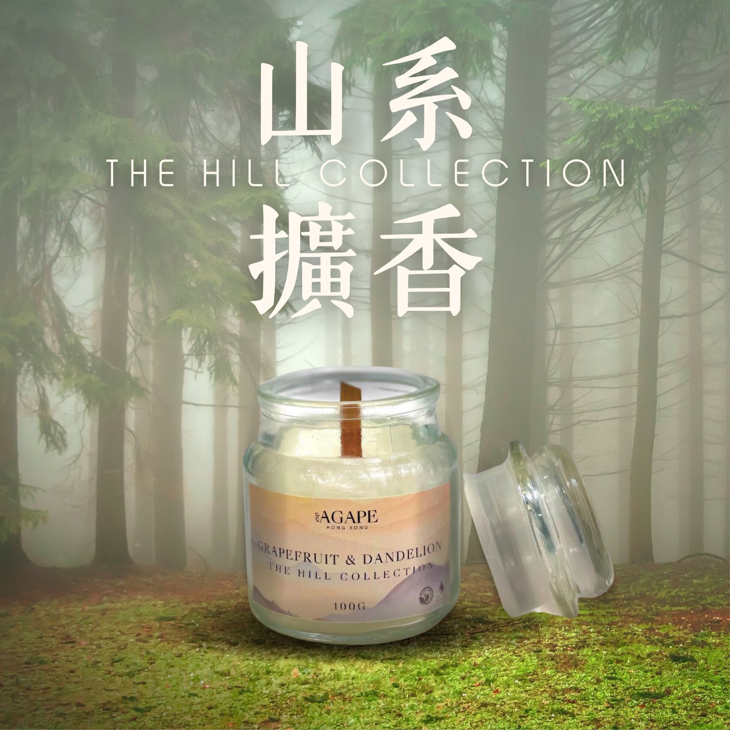 THE HILL COLLECTION