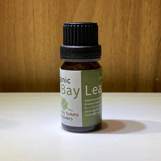 月季葉精油 10ML