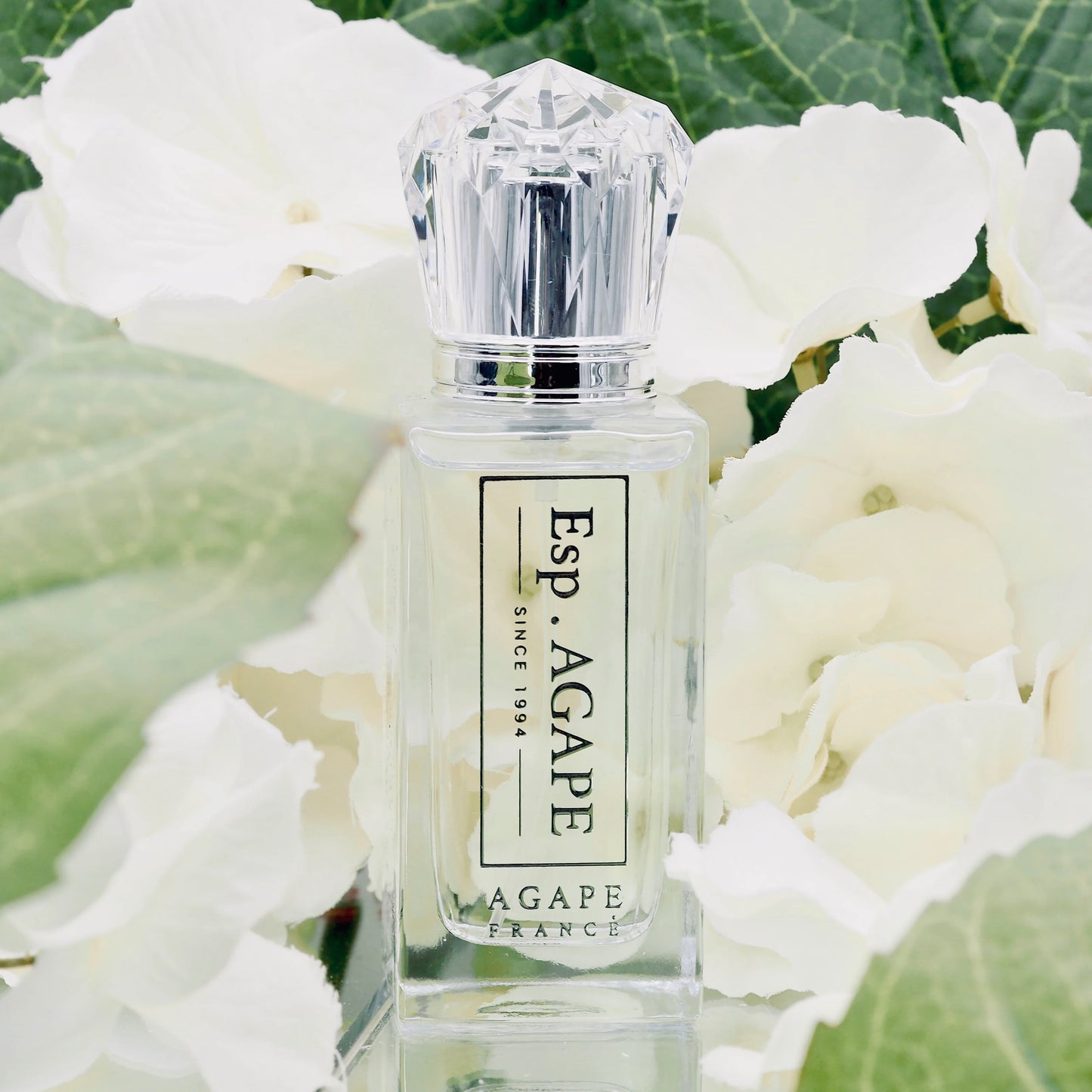 BEST SELLER ｜AGAPE 白蘭花法國香水