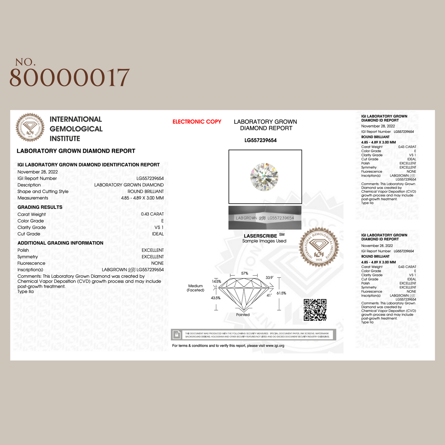 H24310