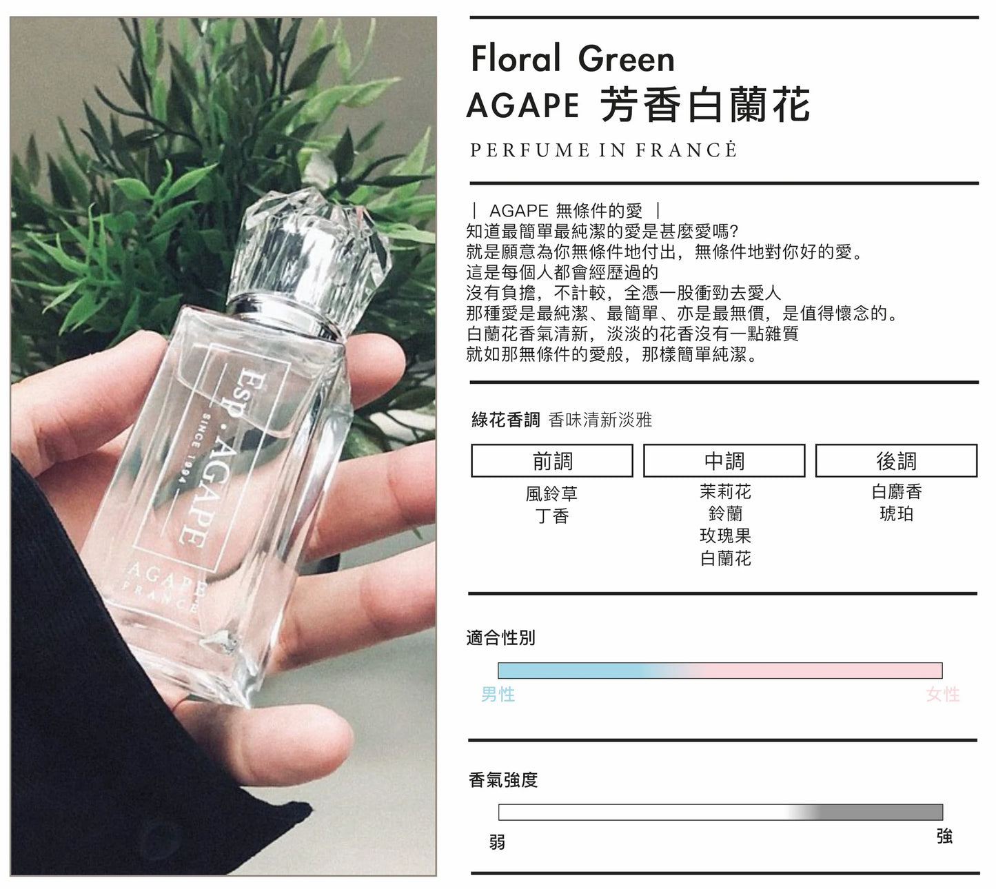 BEST SELLER ｜AGAPE 白蘭花法國香水