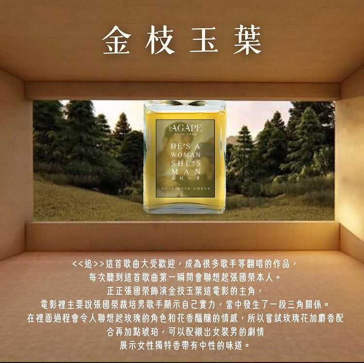 香港電影系列 SENSE OF HK MOVIES